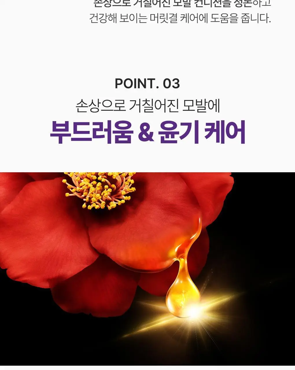 [두피모발강화] 츠바키 프리미엄 EX 헤어 폴 케어 & 리페어 샴푸 450ml 상세페이지 13